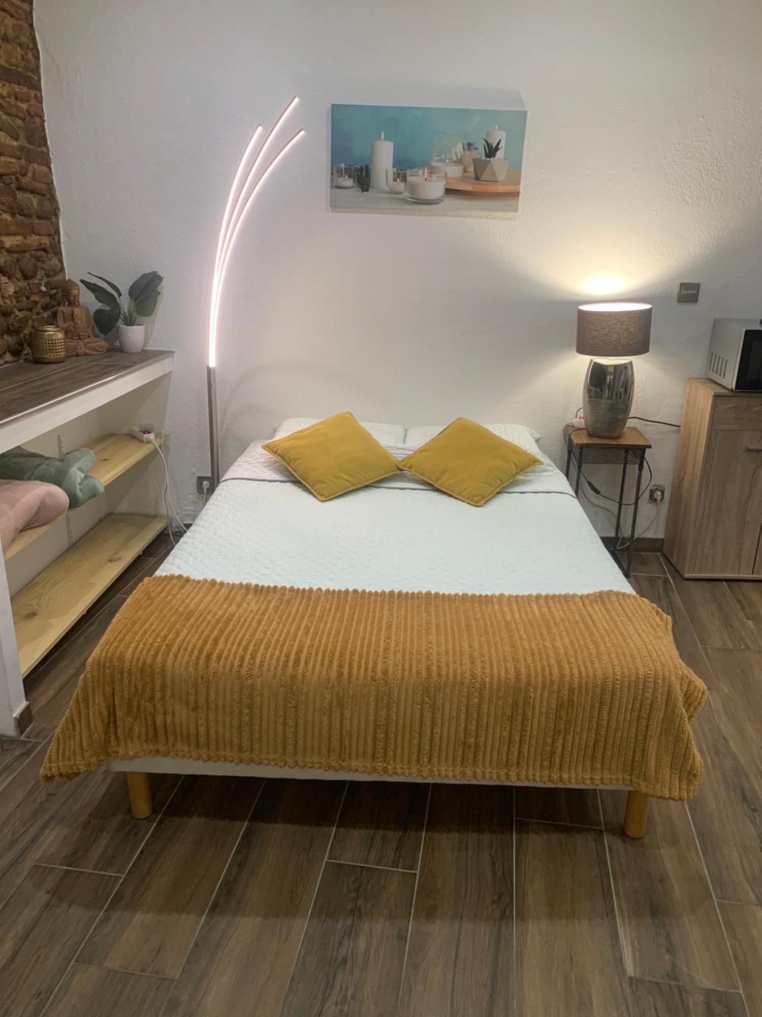 Studio 25M2 En Plein Coeur De Perpignan Exterior foto